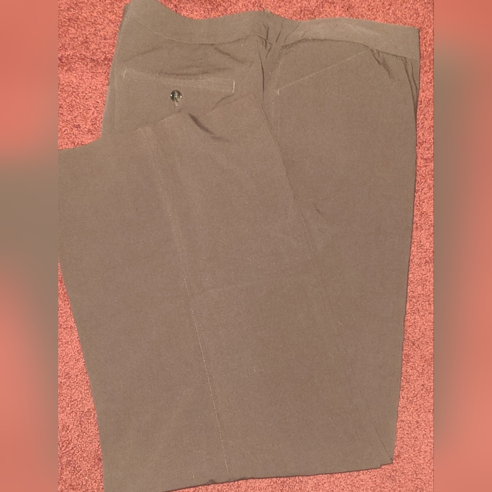 Worthington modern fit dress trouser 24w